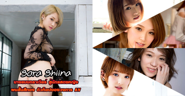Sora Shiina ประวัติ นางเอกเอวี สายหมวย วาร์ป หนังผู้ใหญ่ สุดฟิน 18+
