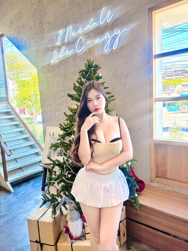Dreammee 6