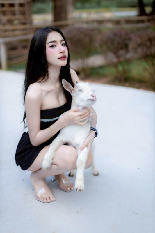 Belle krittima 9